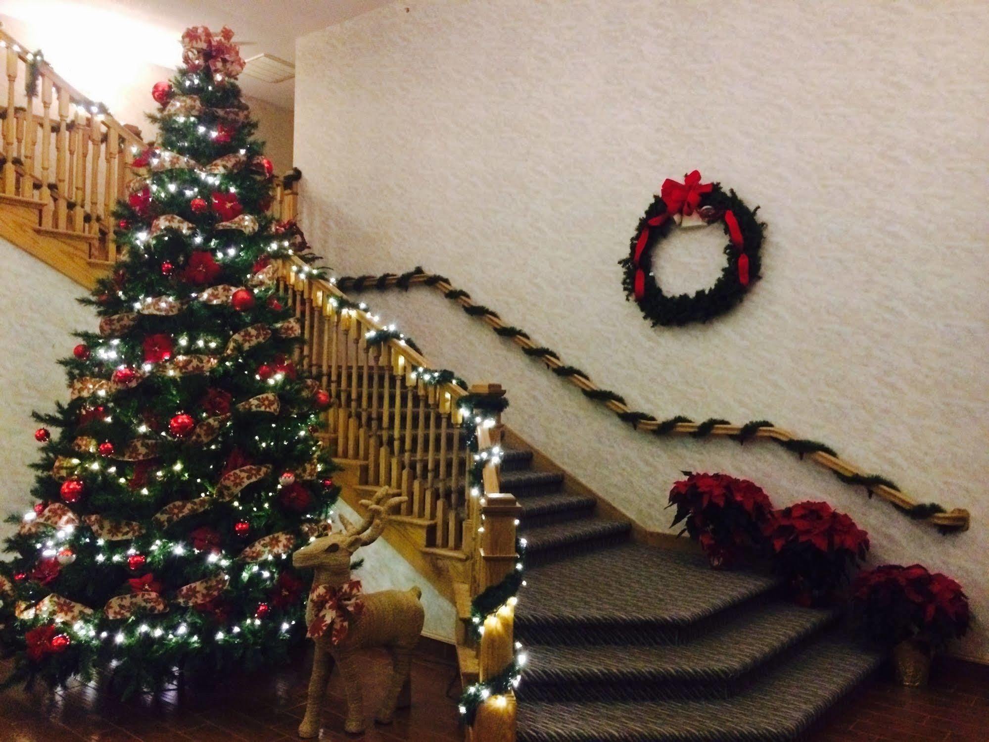 קלקסקה All Seasons Resort מראה חיצוני תמונה